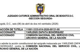 Acción de Tutela (OPEC 213003) Integrantes de la lista de elegibles de la Resolución 8886 del 24 de septiembre de 2025