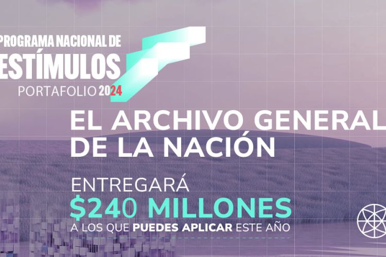 Noticia programa