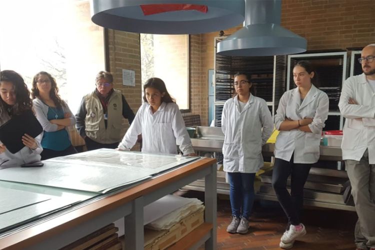 imagen de documentos trabajados por estudiantes de la Universidad Externado