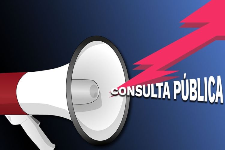 consulta pública acuerdo 049 de 2000