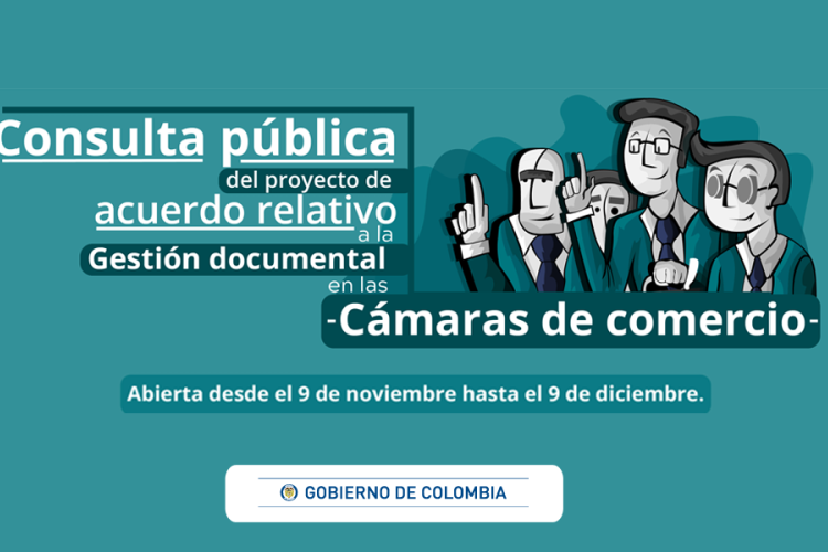 consulta pública cámaras