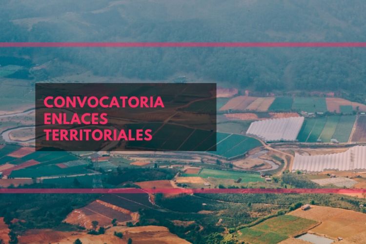 imagen de convocatoria enlaces territoriales