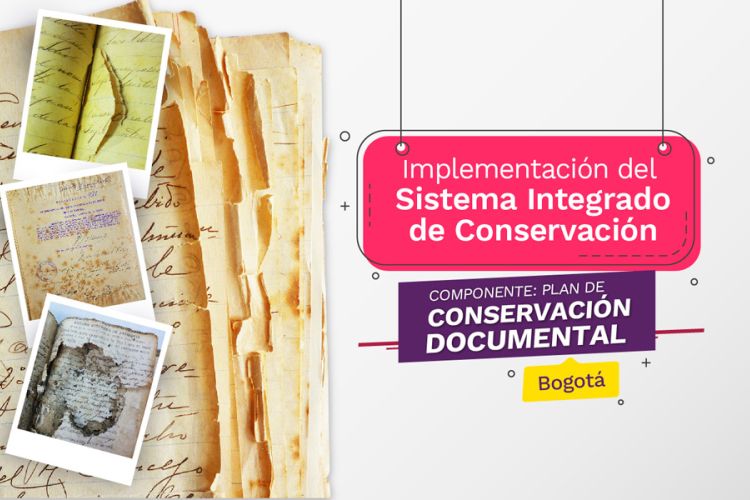 imagen taller presencial Plan integrado de conservación 