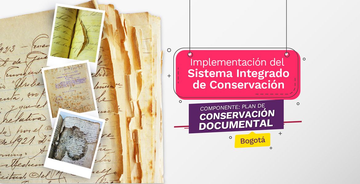 imagen taller presencial Plan integrado de conservación 